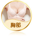 胸部整形手术