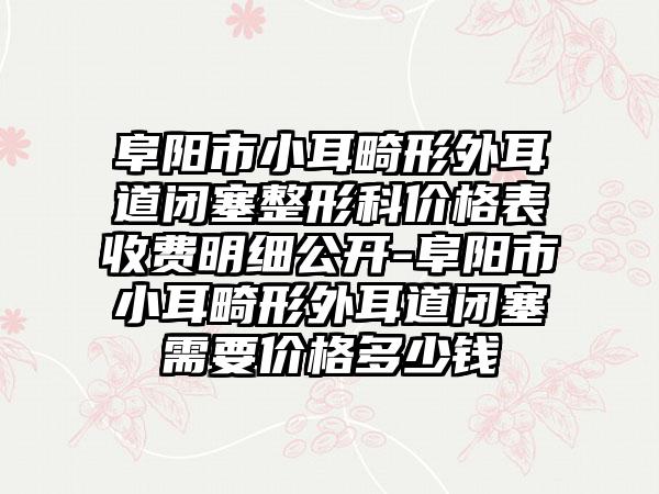 阜阳市小耳畸形外耳道闭塞整形科价格表收费明细公开-阜阳市小耳畸形外耳道闭塞需要价格多少钱