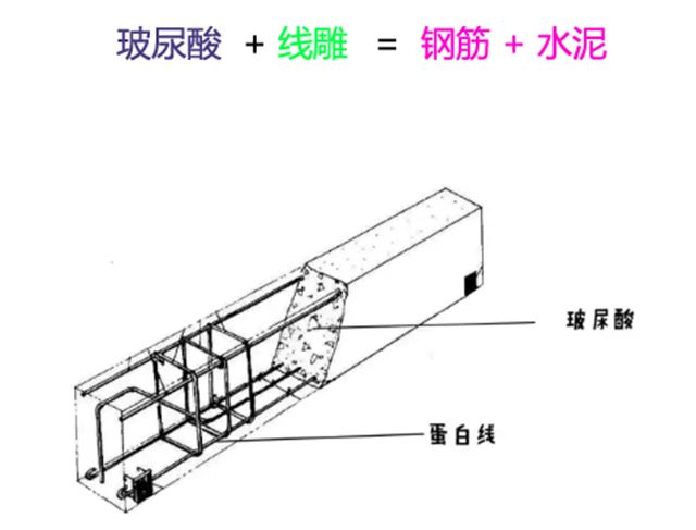 抗衰老是女人要经营一辈子的事业