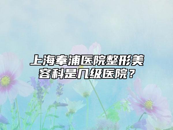 上海奉浦医院整形美容科是几级医院？