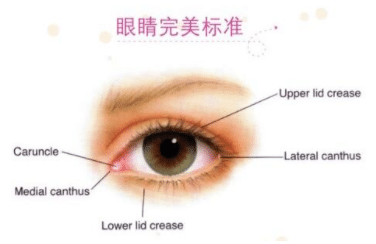 割双眼皮有哪些风险？双眼皮种类介绍以及风险介绍